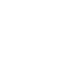 logo-pietra-popup-intro